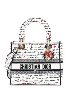Christian Dior Pre-Owned Lady D-Lite Bag Embroidered Canvas Medium satchel - Multicolour