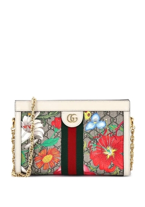 Gucci Pre-Owned Ophidia Chain Shoulder Bag Flora GG Coated Canvas Small crossbody bag - Brown