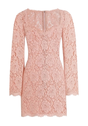 Dolce & Gabbana cordonetto lace mini dress - Pink