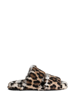 Dolce & Gabbana leopard-print slippers - Brown