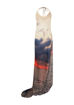 Roberto Cavalli abstract-print maxi dress - Neutrals