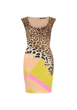 Roberto Cavalli animal print dress - Neutrals