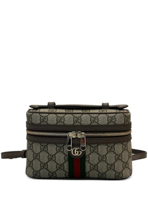 Gucci small Ophidia vanity bag - Neutrals