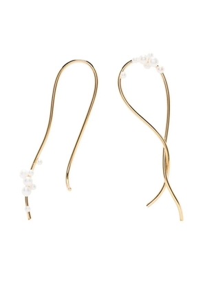 Completedworks Wild Relatives drop earrings - Gold