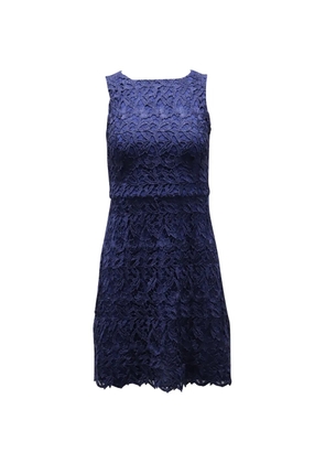 alice + olivia laced mini dress - Blue