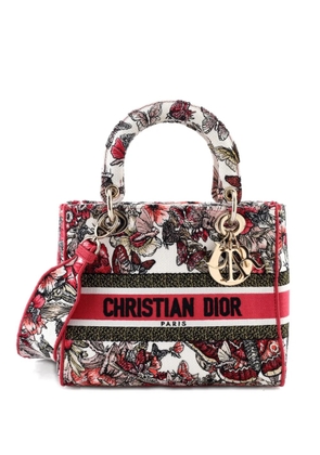 Christian Dior Pre-Owned Lady D-Lite Bag Embroidered Canvas Medium satchel - Multicolour