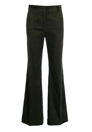 Antonelli flared corduroy trousers - Green