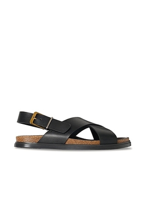The Row Buckle Sandal in Black - Black. Size 36.5 (also in 37, 37.5, 38.5, 39.5, 40, 41).