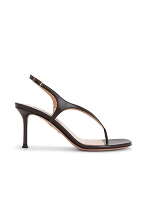 Aquazzura Bikini Thong 75 Sandal in Espresso - Brown. Size 39.5 (also in ).