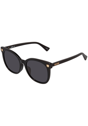 Moschino Dark Grey Cat Eye Ladies Sunglasses MOS088/F/S 0807/IR 55