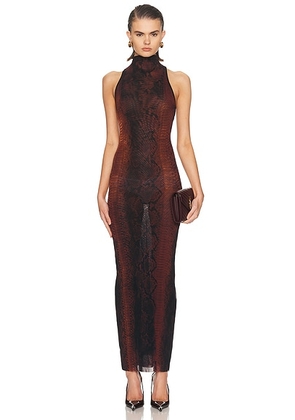 Jean Paul Gaultier Mesh High Neck Printed Python Long Dress in Brown & Black - Black,Rust. Size M (also in ).
