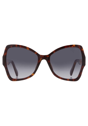 Moschino Grey Shaded Butterfly Ladies Sunglasses MOS099/S 0086/9O 54