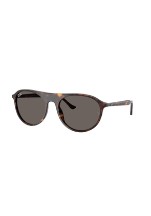 Ray Ban Dark Grey Square Unisex Sunglasses RB2215 902/B1 56
