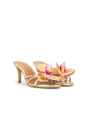 Alameda Turquesa Cecily Heel in Metallic Gold. Size 37. Also in 36.