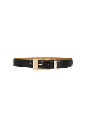 Ettika Engraved Buckle Belt in Black. Size XL. Also in L.