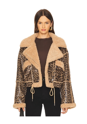 BLANKNYC Bonded Moto Jacket in in Brown. Size S. Also in M, L.