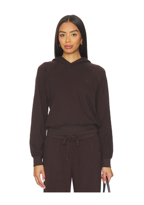 Eterne Shrunken Lightweight French Terry Hoodie Sweatshirt in Brown. Size M. Also in XS.