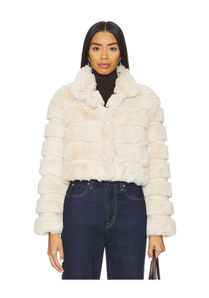 Adrienne Landau Goldie Jacket in Cream. Size S. Also in L.