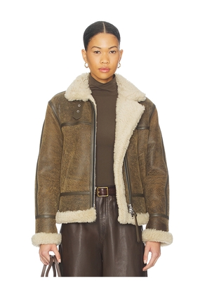 ALLSAINTS Lorel Vintage Jacket in Brown. Size S. Also in L.