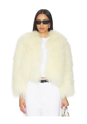 Bubish Georgina Jacket in Yellow. Size XS. Also in L.