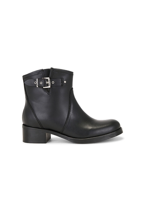 Dico Copenhagen Hunter Buckle Gaucho Boot in Black. Size 38. Also in 37, 39, 40, 41.