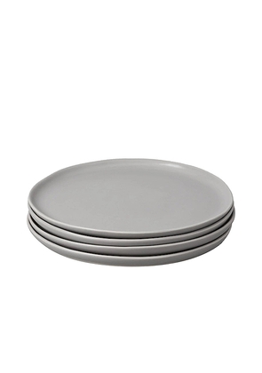 Fable The Dinner Plates Set of 4 in Grey.