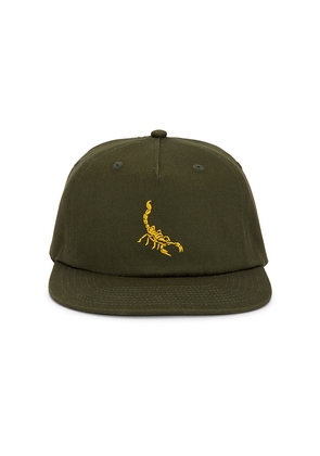 Devereux Golf Heffy Scorpian Hat in Green.