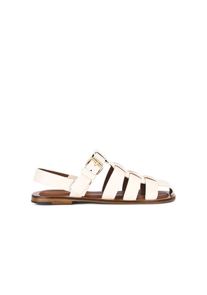 Mansur Gavriel Fisherman Sandal in Cream. Size 39. Also in 36.