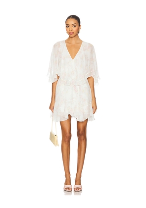 LoveShackFancy Avaline Dress in Ivory. Size S. Also in M.