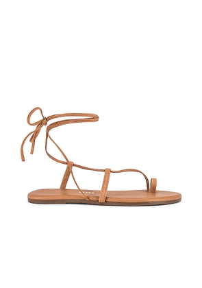 TKEES Jo Sandal in Brown. Size 6. Also in 7, 8, 5, 9, 10, 11.