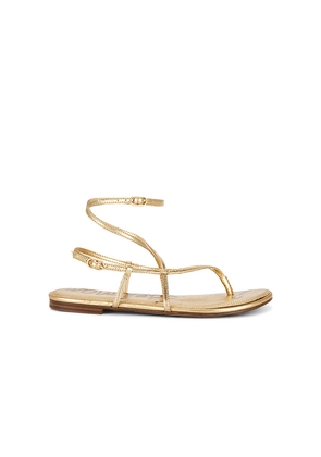 Sam Edelman Clarra Sandal in Metallic Gold. Size 6. Also in .
