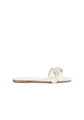 RAYE Iris Flat in Ivory. Size 5.5. Also in 6, 6.5, 7, 7.5, 8, 8.5, 9, 9.5.