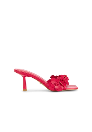 RAYE Hana Sandal in Red. Size 5.5. Also in 6, 6.5, 7, 7.5, 8, 8.5, 9, 9.5.