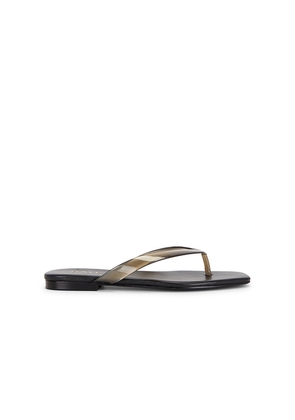 RAYE Paloma Flip Flop in Black. Size 5.5. Also in 6, 6.5, 7, 7.5, 8, 8.5, 9, 9.5, 10.