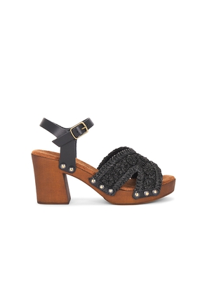 Seychelles Ravenna Sandal in Black,Tan. Size 6. Also in 6.5, 7, 7.5, 8, 8.5, 9, 9.5, 10.