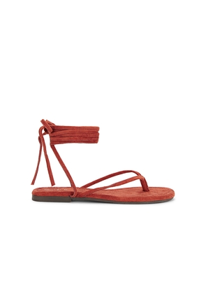 Seychelles Wander The World Sandal in Brick. Size 6. Also in 6.5, 7, 7.5, 8, 8.5, 9, 9.5, 10.