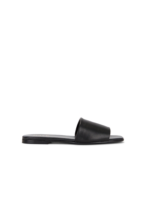 RAYE Nolo Sandal in Black. Size 5.5. Also in 6, 6.5, 7, 7.5, 8, 8.5, 9, 10.