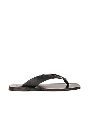 A.EMERY Kinto Sandal in Black - Black. Size 38 (also in ).
