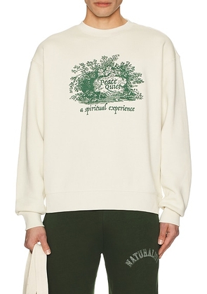 Museum of Peace and Quiet Spiritual Experience Crewneck Sweatshirt in Bone - Cream. Size S (also in ).