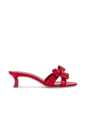 Manolo Blahnik Cafredda 50 Mule in Bright Red - Red. Size 41 (also in ).