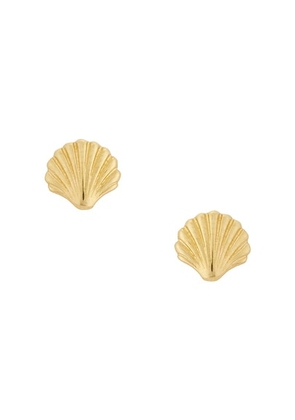 STONE AND STRAND Scallop Shell Earrings in 14k Yellow Gold - Metallic Gold. Size all.