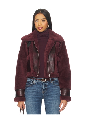 BLANKNYC Cropped Jacket in Burgundy. Size S. Also in XS.