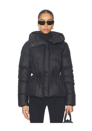 Canada Goose Montgomery Jacket in Black. Size M. Also in L.