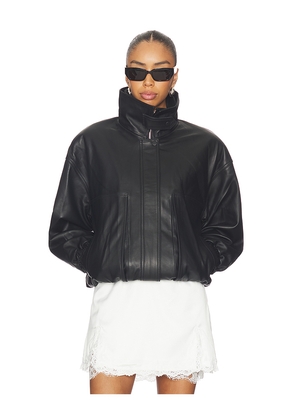 AEXAE Leather Collar Jacket in Black. Size XS. Also in M, L.