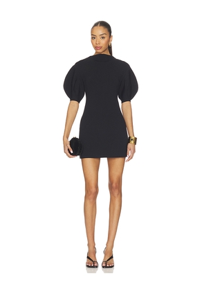 Cult Gaia Iva Dress in Black. Size XXS. Also in XS, S, M, XL.