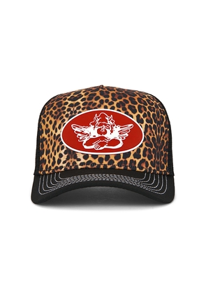 Boys Lie He's A Cheetah Trucker Hat in Black.
