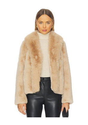 Generation Love Dasha Faux Fur Jacket in Beige. Size XL. Also in XS.