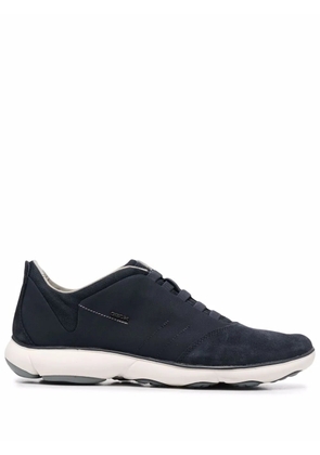 Geox Nebula low-top sneakers - Blue
