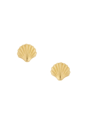 STONE AND STRAND Scallop Shell Earrings in Metallic Gold.