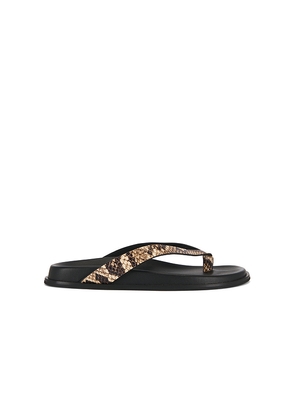 PAIGE Zadie Sandal in Tan. Size 6. Also in 6.5, 7, 7.5, 8, 8.5, 9, 9.5, 10.